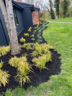 Sandoval Landscape & Tree Services