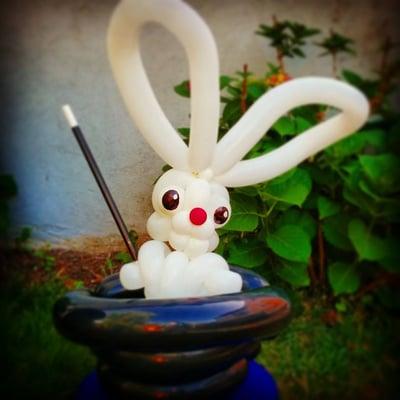 Funny Face Entertainment