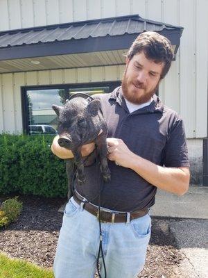 Swine Veterinary Services of Michigan