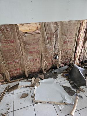 Pro Serv Restoration