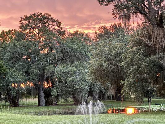 The Venue At Mudge Ranch