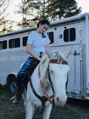 Fosters Riding Stables