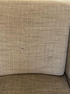 American Safari Motel