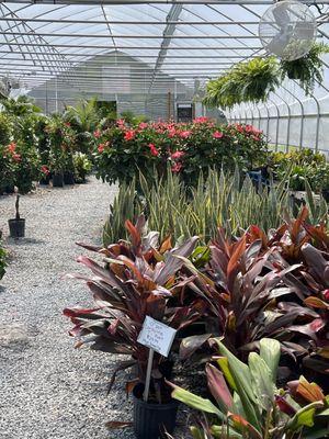 Gambrills Flower Farm