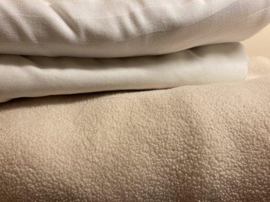 Rentals by Owner Direct at the Signature