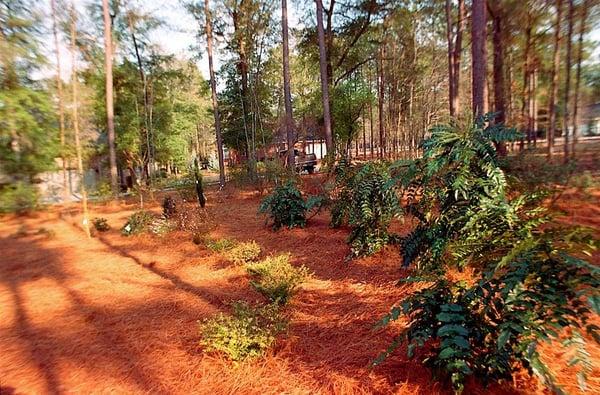 Witty Inventions Garden Design