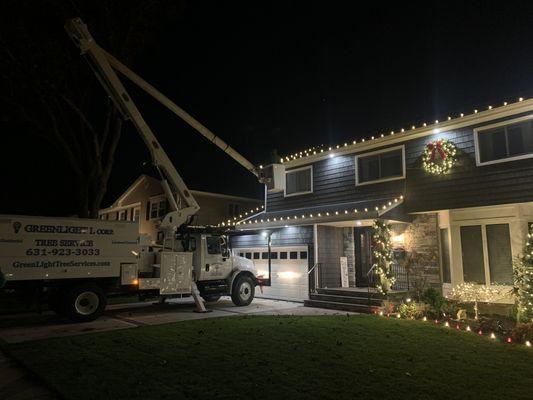 Greenlight Tree Services
