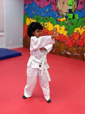 Martial Arts combines with math in Math-Chi!