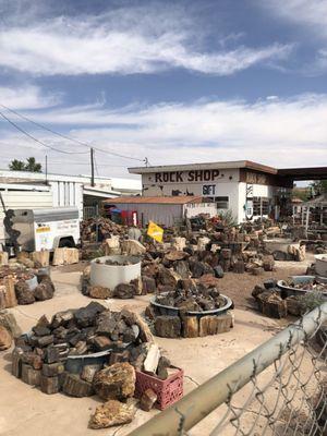 Tons of petrified wood