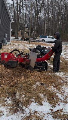 Stumped By Stumps Tree Service