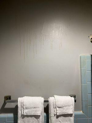 Filthy wall behind toilet