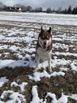 Beebe Street Memorial Park
