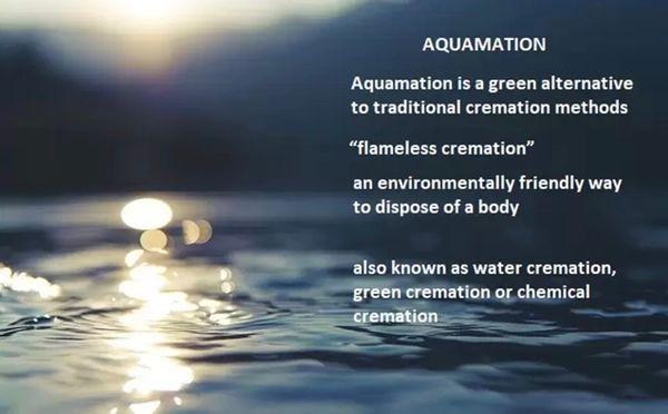 All Gods Critters Too