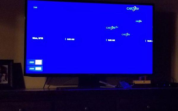 Random floating dates with no programs showing on the grid of a programming guide screen.