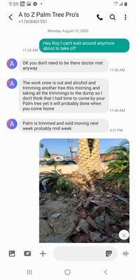 A to Z Palm Tree Pro's