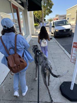 Chicana Farm Dog Training