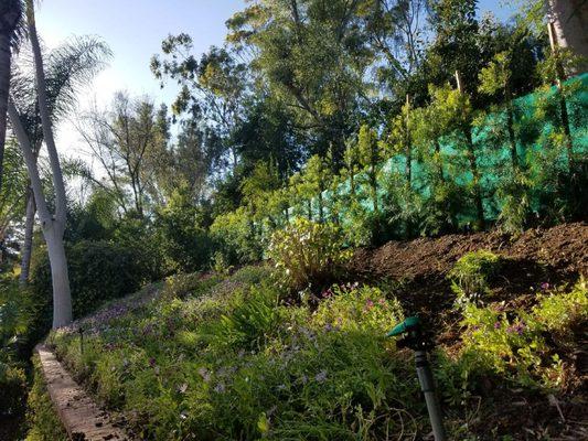 Green View Trees Service