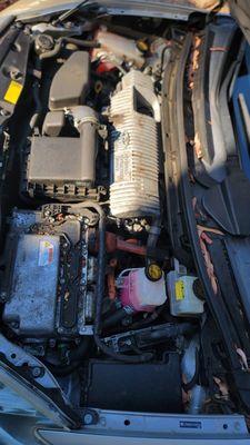 Slick Mobile Detailing