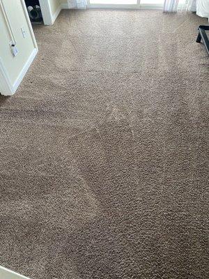 Five Star Carpet & Tile Care