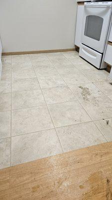 Lady & The Gent Carpet Cleaning