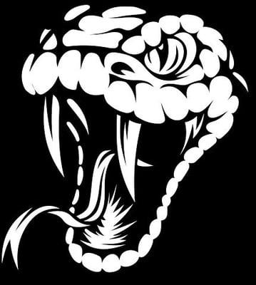 Viper Technical Solutions