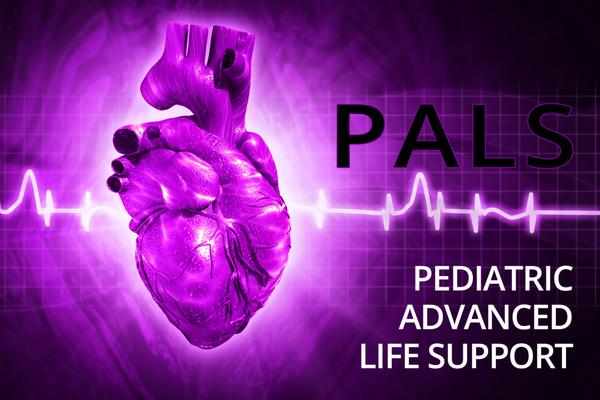 Air Ambulance Worldwide