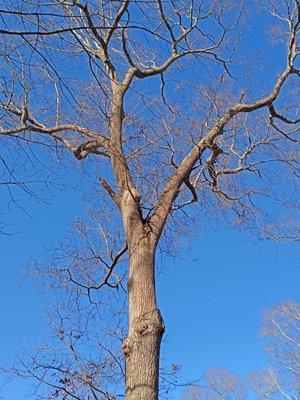 All About Yard Works