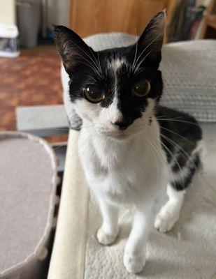 Morris Animal Refuge