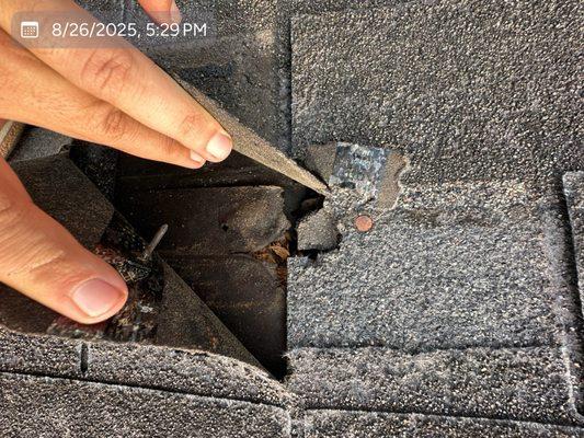 Newhaus Roofing & Construction