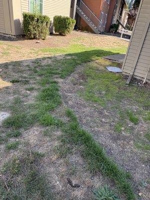 Madison at River's Edge