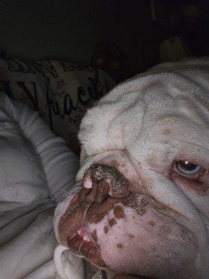 Mommy and Me House and Pet Sitting Service