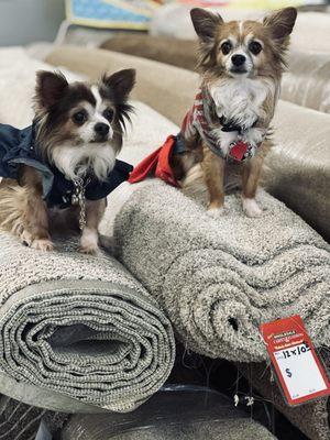 Dan's Wholesale Carpet And Flooring