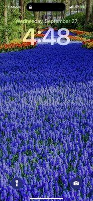 Roundabout Transportation