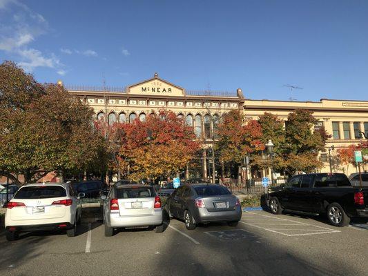 Appleseed Consulting