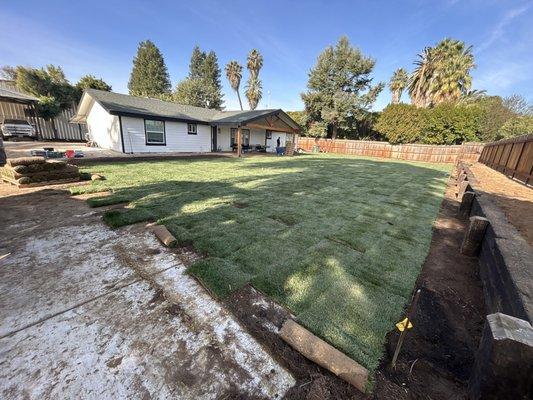 Budget Sprinkler Repair System