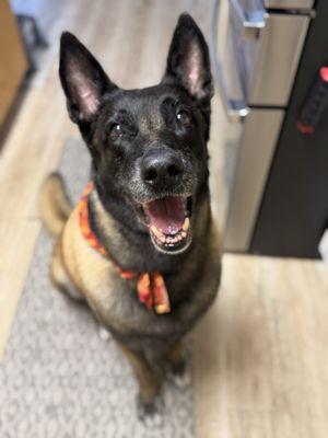 Empire Veterinary Clinic