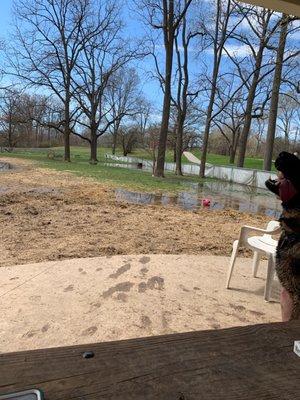 Wayne County Hines Dog Park