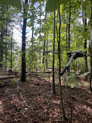 Eco Friendly Tree Services