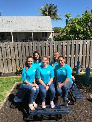 Beach Environmental Pest Control