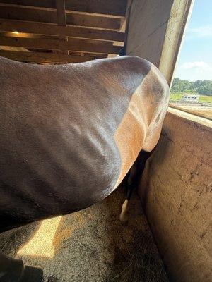 High Point Equestrian Center