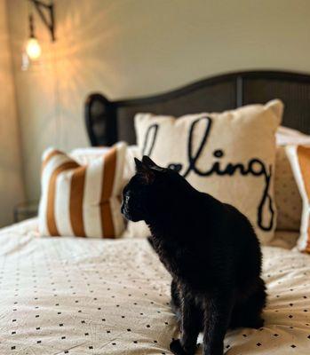 Interiors and Events KC