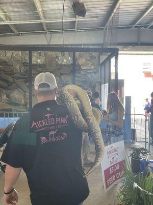 Alabama National Fair