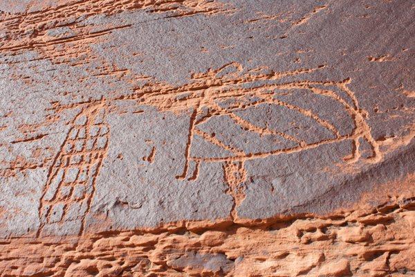 Lees Ferry On the Fly