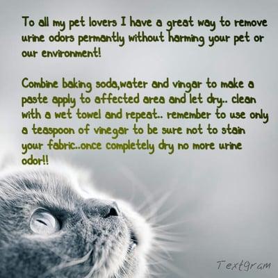 Enviro-Friendly Cleaning Service