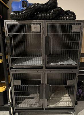 Willows Barkin Beauties