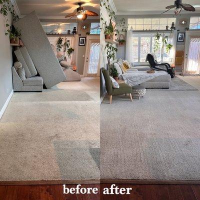Pure Clean Carpet & Tile Care