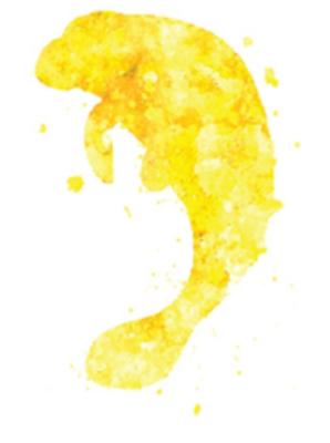 Golden Manatee Painting Contractors