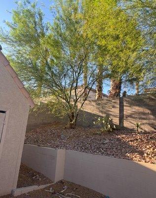 True Green Landscape