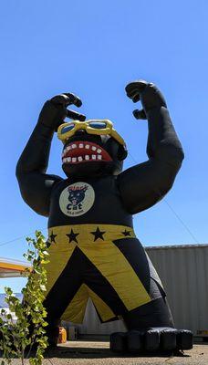 Battle Mountain Indian Colony-Smoke Shop