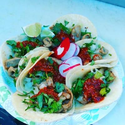 Great tasting tacos!!!